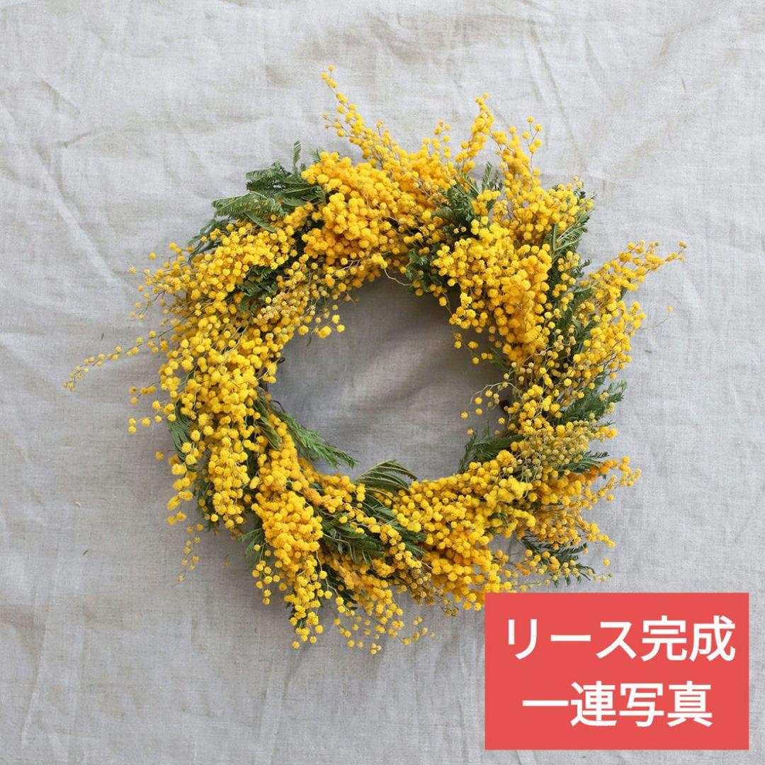 ♥インテリアに♥ディスプレイ自由自在特大リース土台蔓 約31～超特大55㎝6点