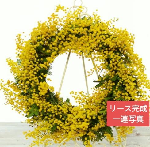 ♥インテリアに♥ディスプレイ自由自在特大リース土台蔓 約31～超特大55㎝6点