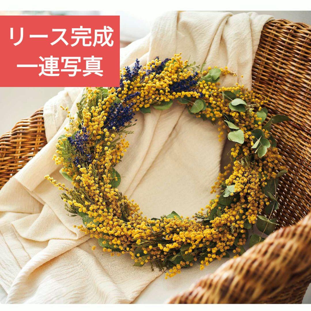 ♥インテリアに♥ディスプレイ自由自在特大リース土台蔓 約31～超特大55㎝6点