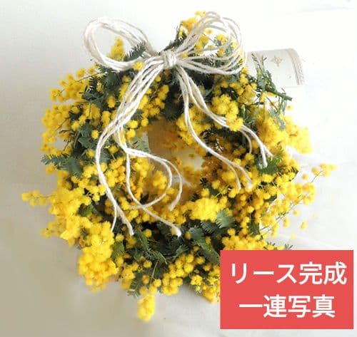 ♥インテリアに♥ディスプレイ自由自在特大リース土台蔓 約31～超特大55㎝6点