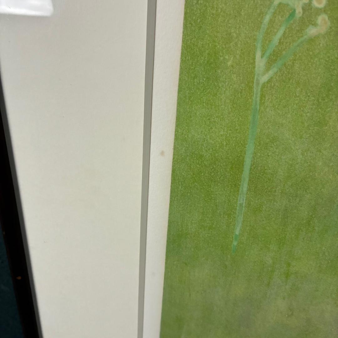 山口華楊「山野辺」狐 リトグラフ 印章有 額縁入り 限定100点 きつね 動物画