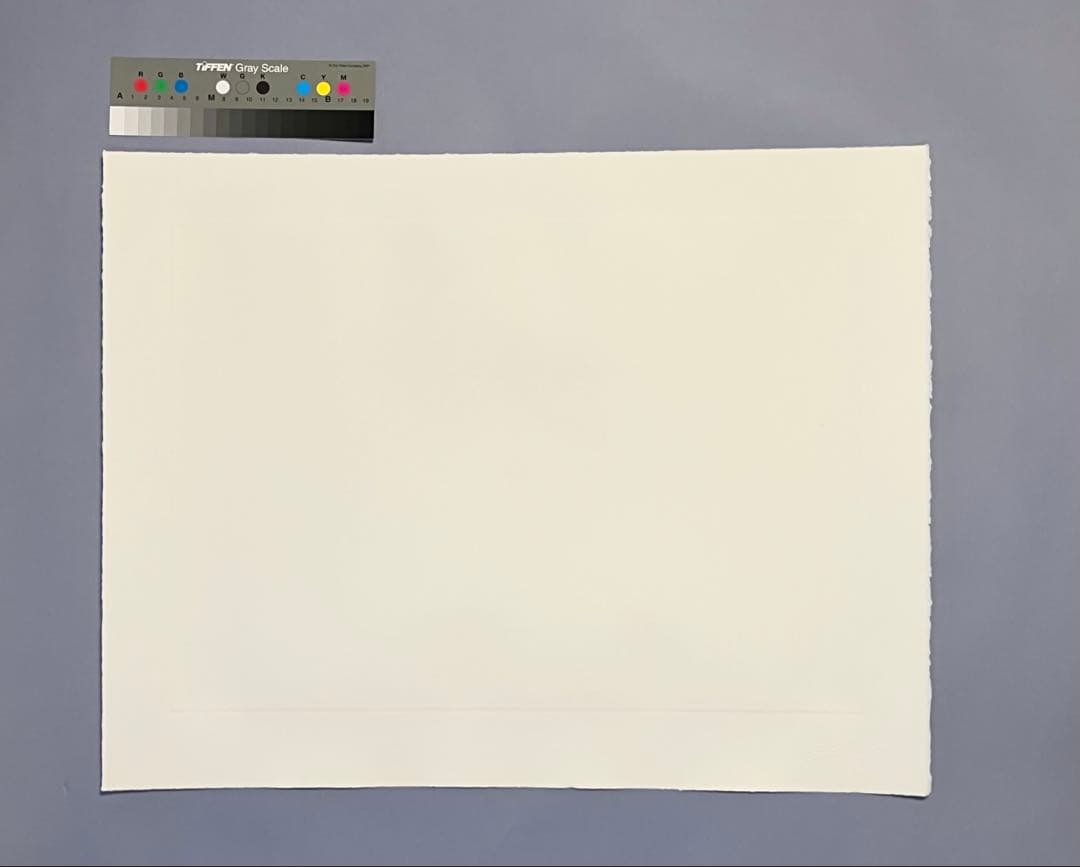 Fujiko Hemming真作保証フジコ・ヘミングFuzjko Hemming