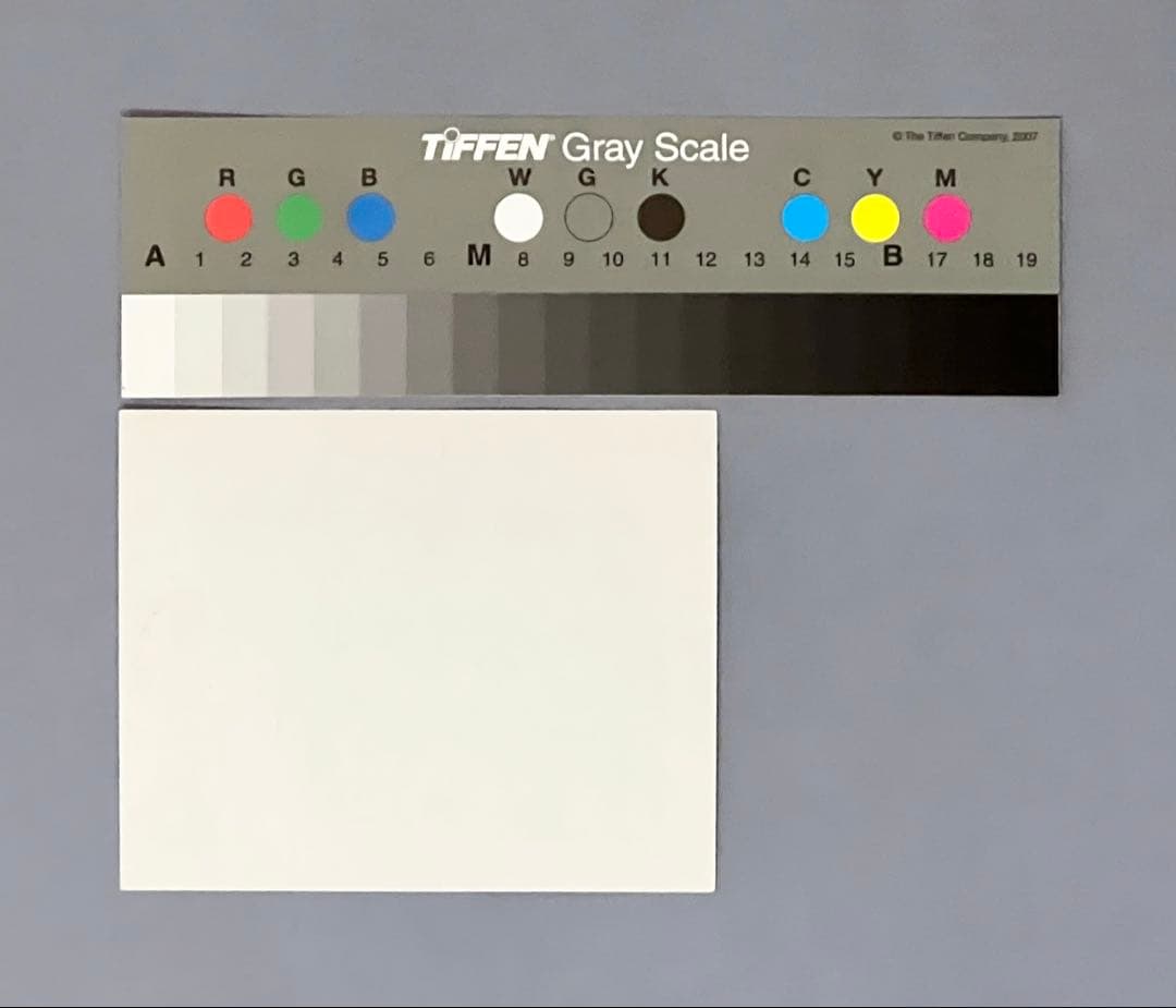 Fujiko Hemming真作保証フジコ・ヘミングFuzjko Hemming