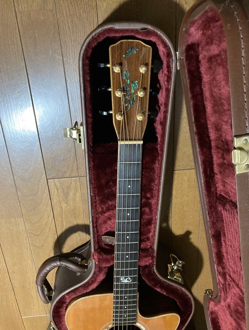 ギター Morris S-102