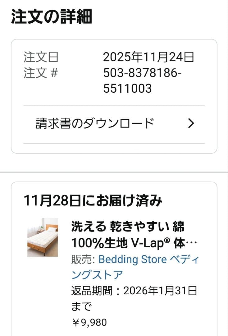 TEIJIN V-Lap® 体圧分散敷パッド セミダブル
