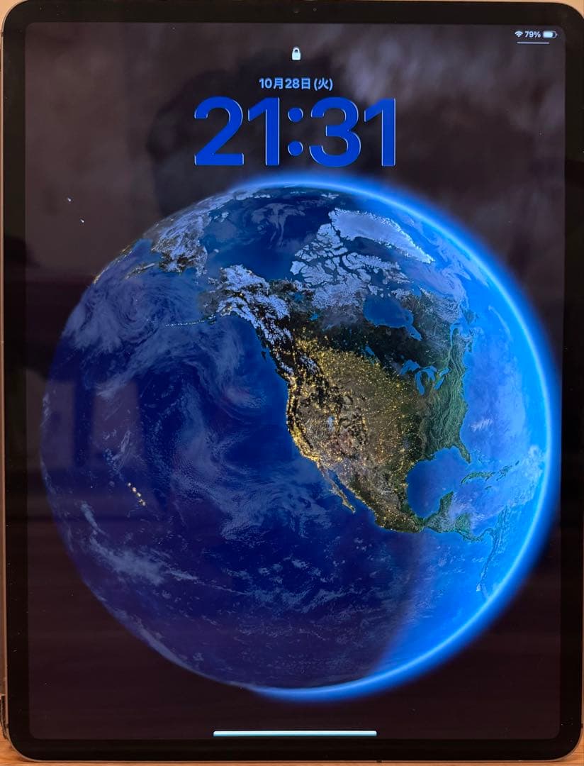 iPad Pro 12.9インチ 256GBWi-Fi + Cellular