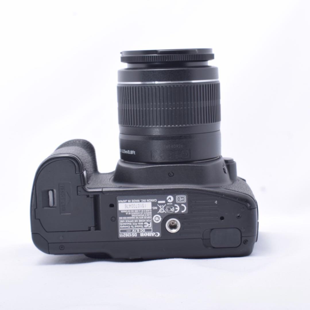 ⭐️一眼レフ入門に最適⭐️Canon EOS 50D 一眼レフカメラ