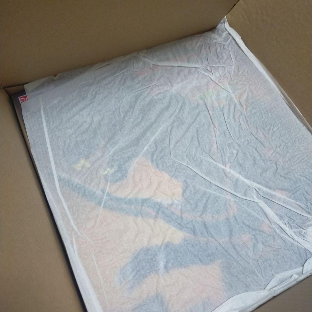 【未開封】東宝30cm 酒井ゆうじ造形コレクション ゴジラ(2001) 再販版