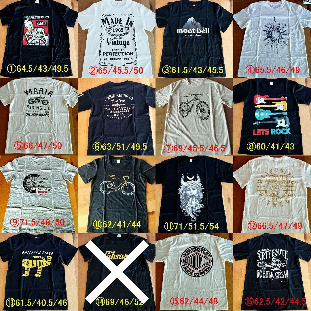 【新品】 BACCHUS Global TACTICS24-STD/RSM