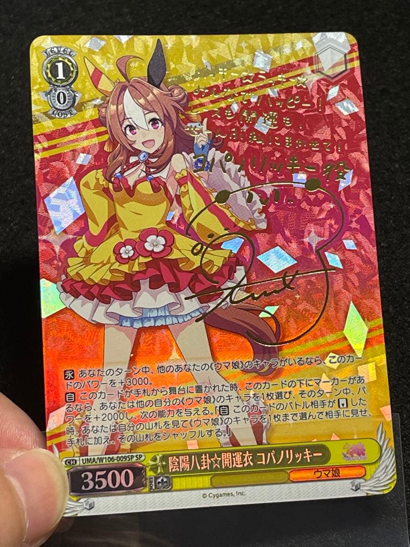 【状態A +】陰陽八卦☆開運衣 コパノリッキー　SP 箔押し　サイン　ウマ娘
