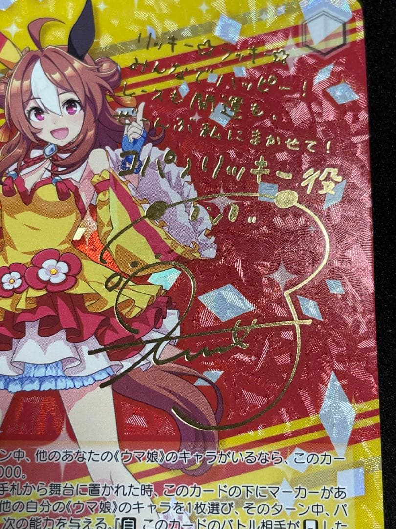 【状態A +】陰陽八卦☆開運衣 コパノリッキー　SP 箔押し　サイン　ウマ娘