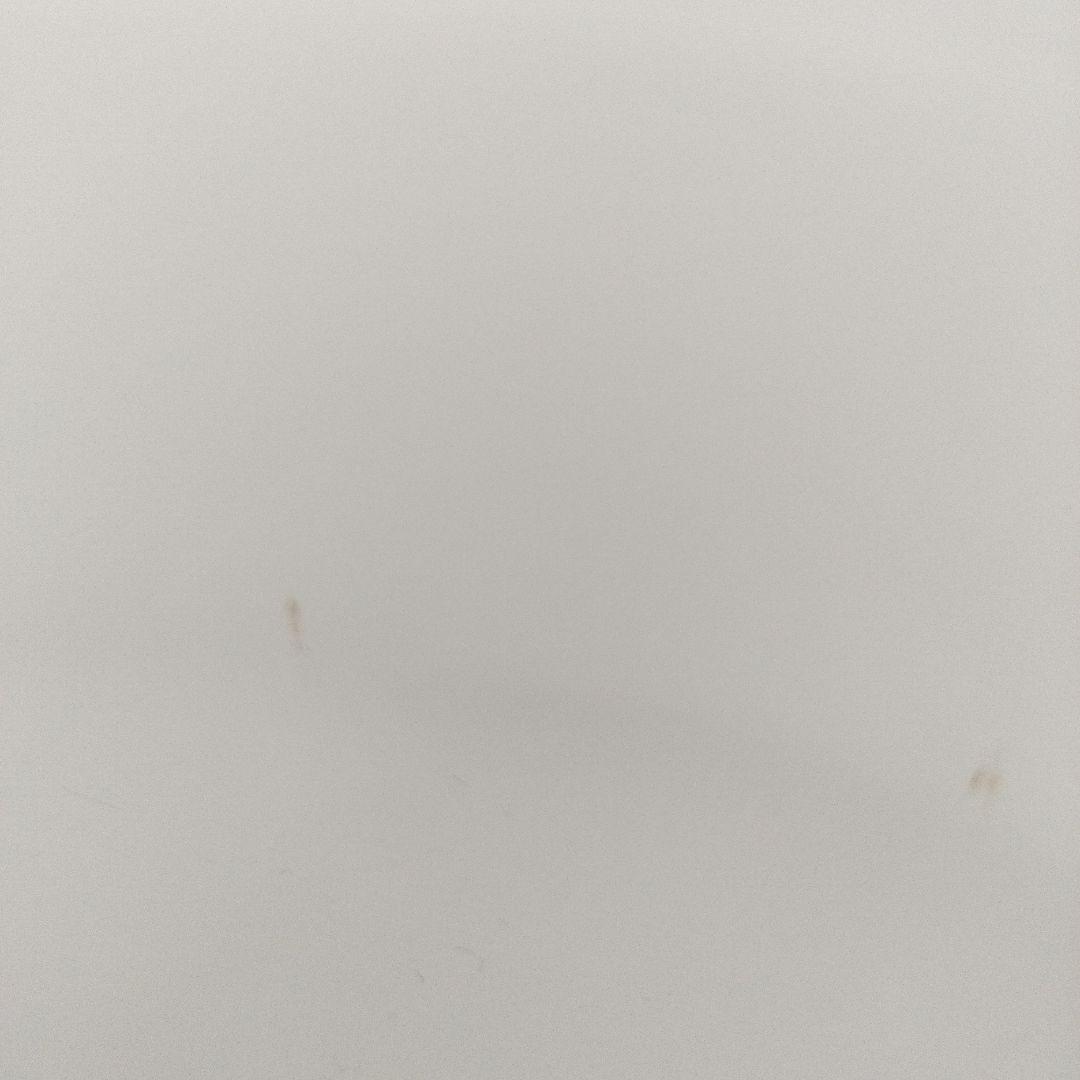 【美品】ファイヤーキング　ビンテージ 白　ホワイト　バターボウル