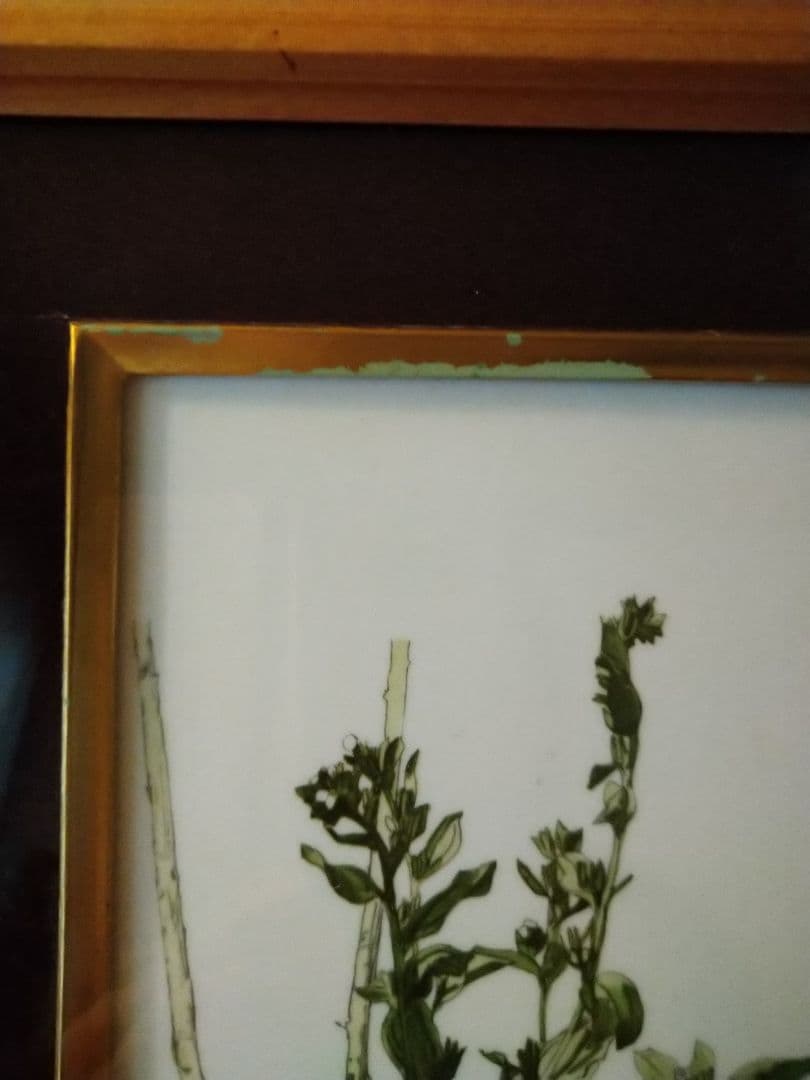 小磯良平　陶板画　絵画