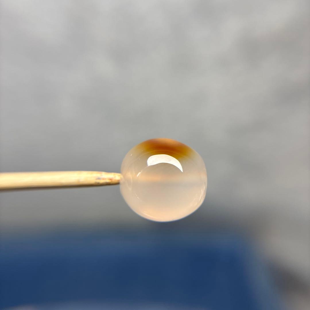 あずきちゃんカルセドニーネコ