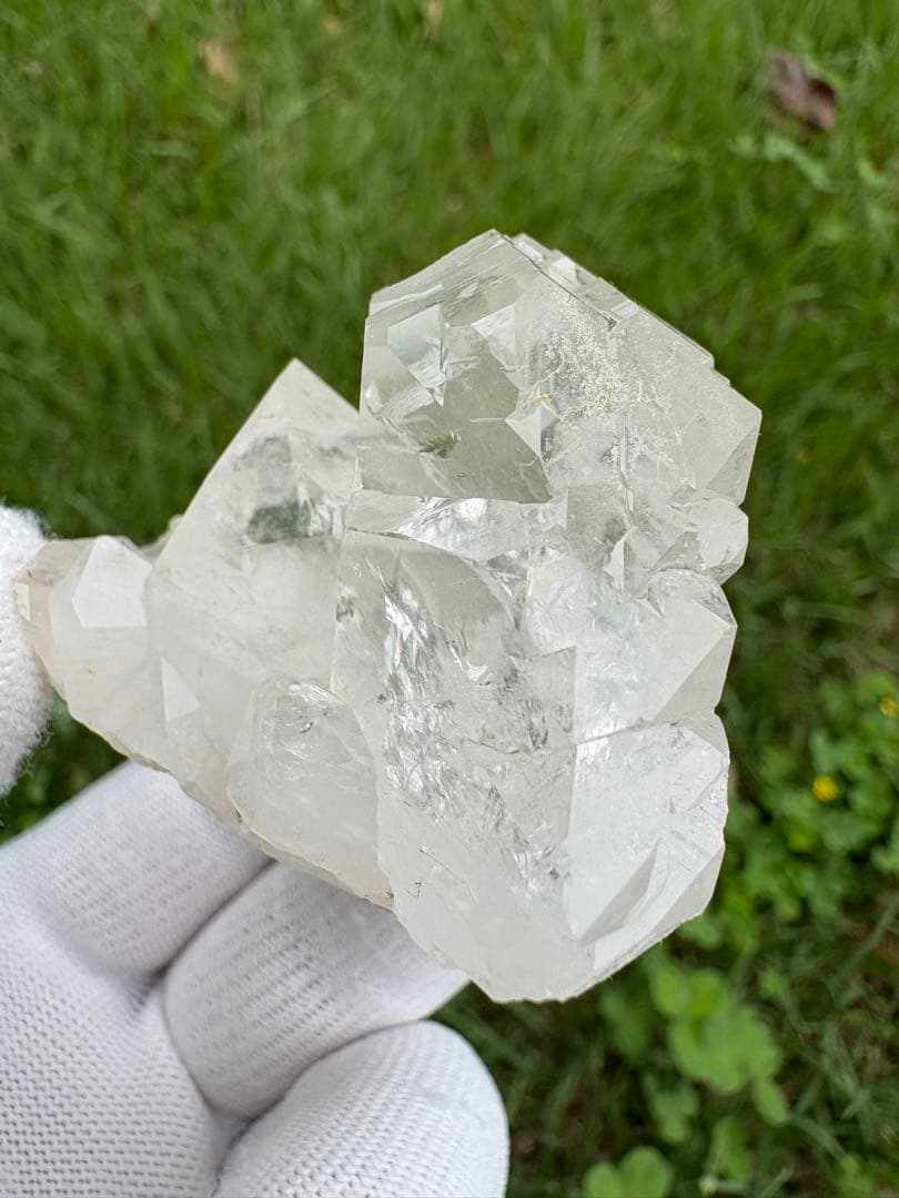 【匿名発送】パキスタン産グインデル