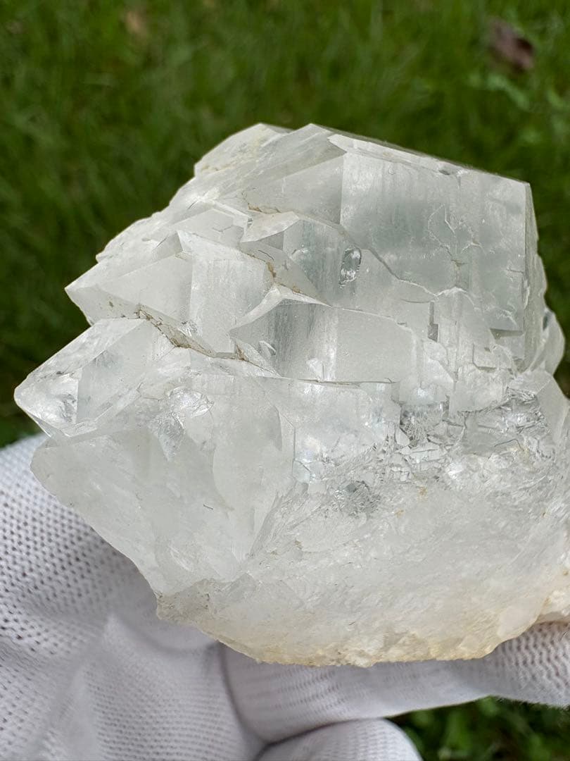 【匿名発送】パキスタン産グインデル