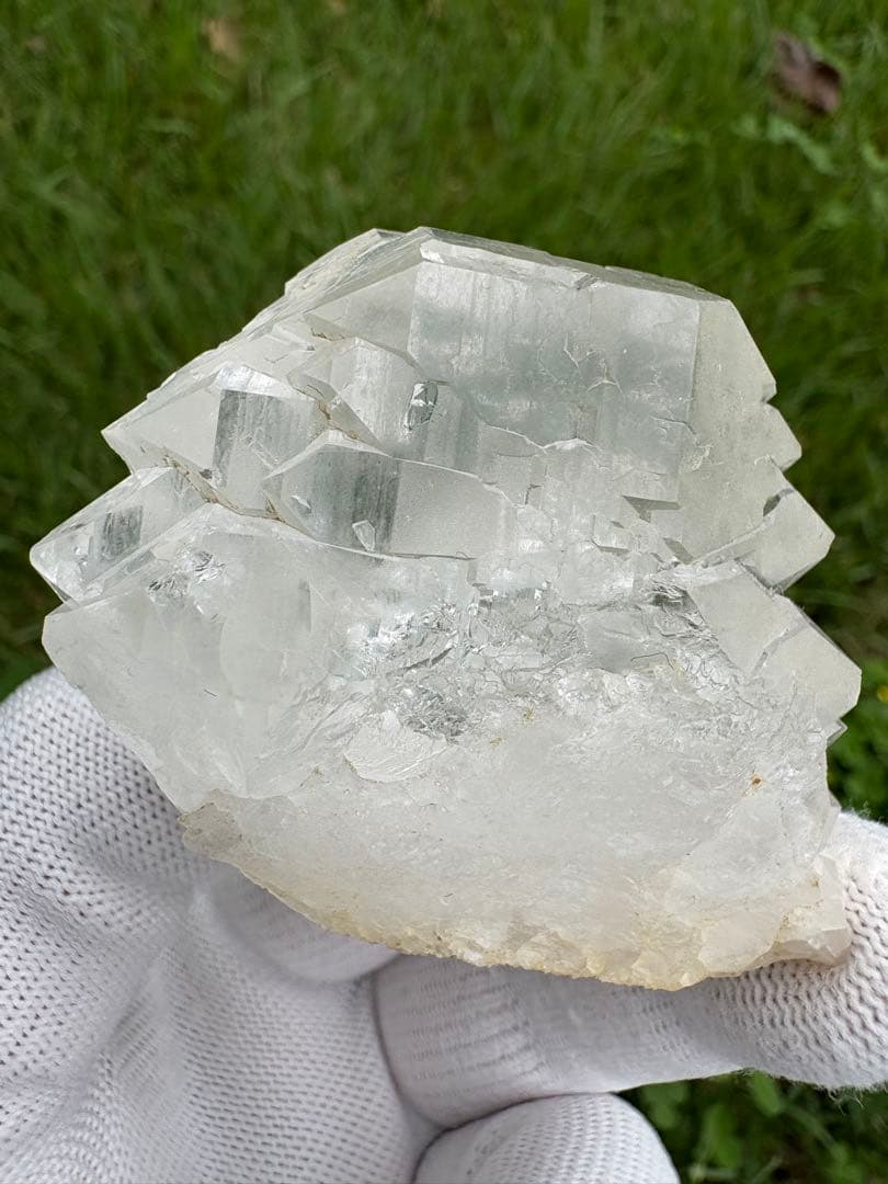 【匿名発送】パキスタン産グインデル