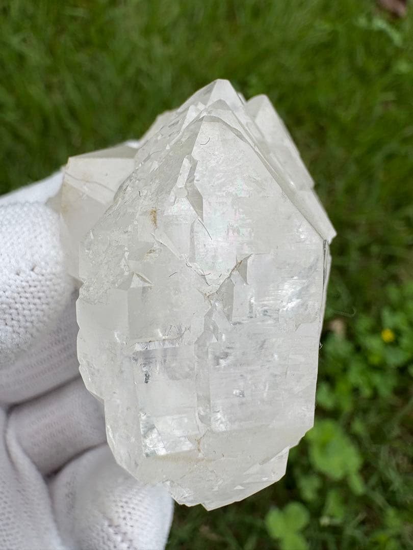 【匿名発送】パキスタン産グインデル