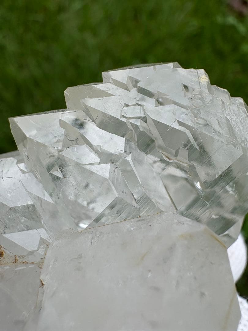 【匿名発送】パキスタン産グインデル