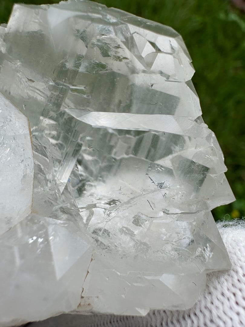 【匿名発送】パキスタン産グインデル