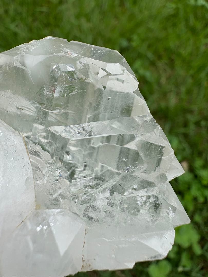 【匿名発送】パキスタン産グインデル