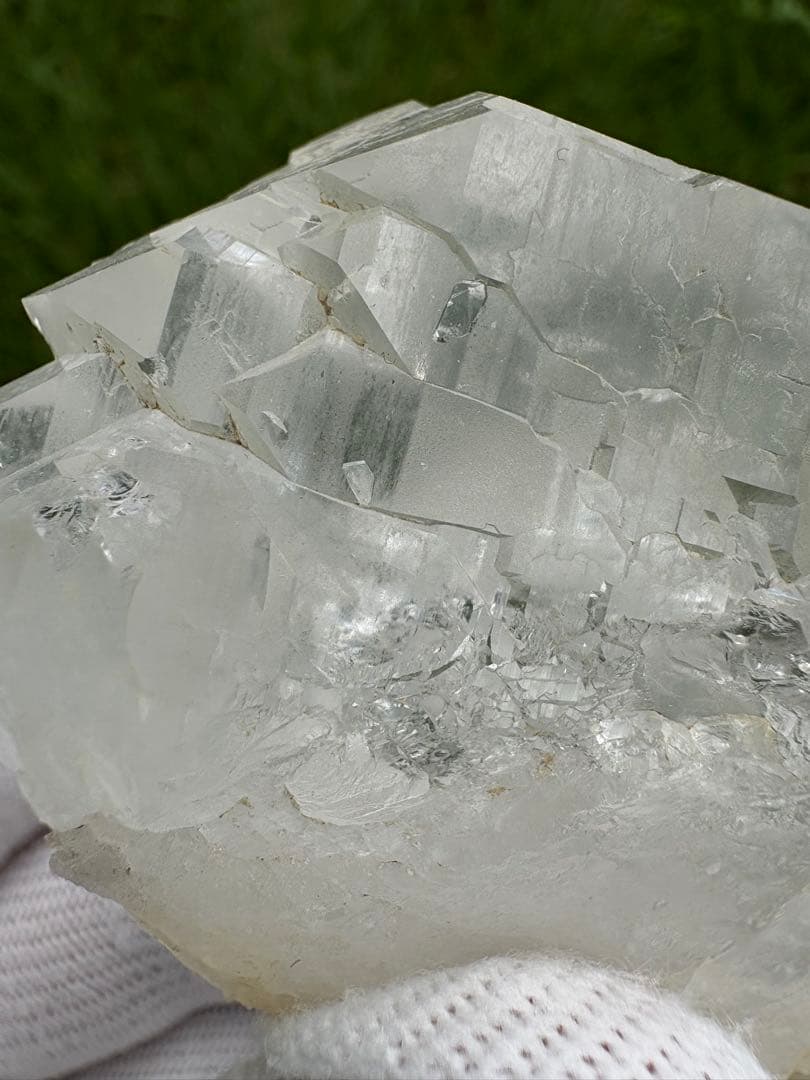 【匿名発送】パキスタン産グインデル