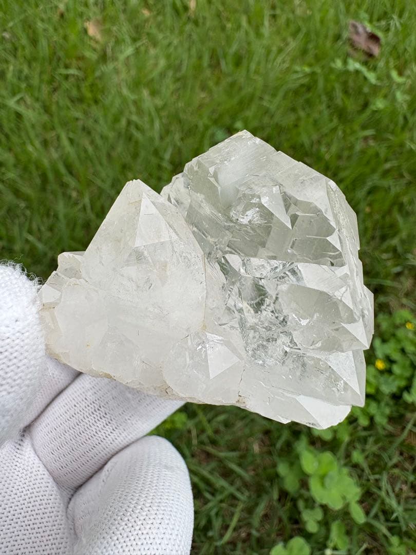 【匿名発送】パキスタン産グインデル