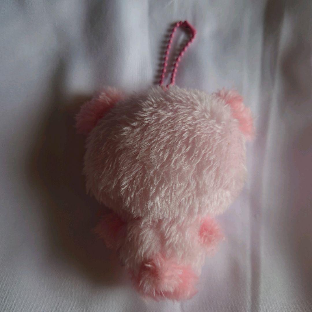 NCTWISH COLOR WISH DOLL サクヤ パン ピンク