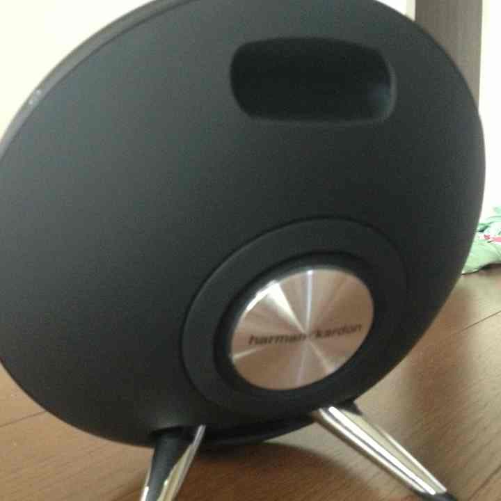 カメレオン様確認  専用