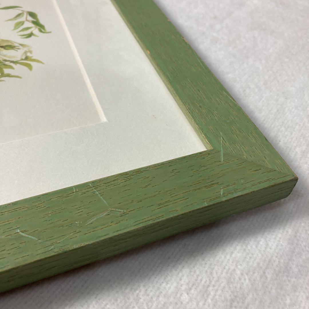 橋本不二子　水彩画版画