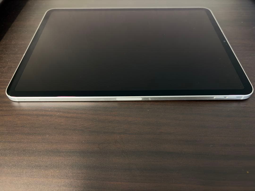 iPadPro11インチ256GB Cellularモデル　底値