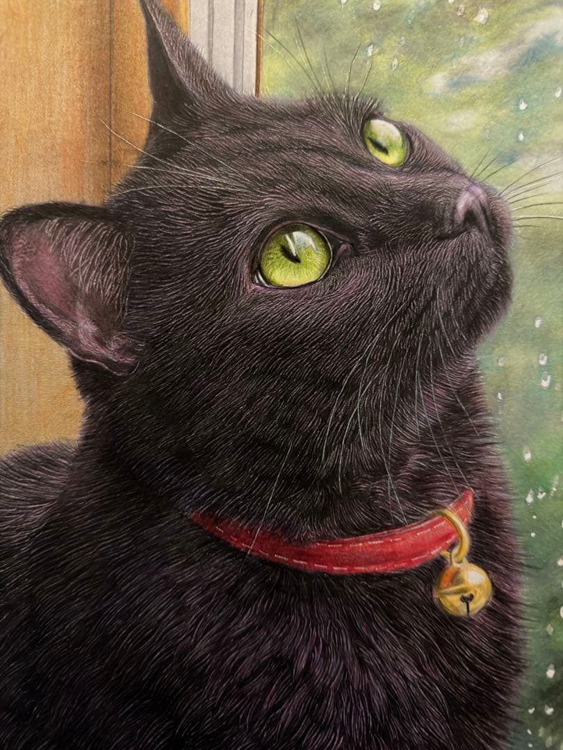 色鉛筆画.A4. 雨音を見つめる黒猫