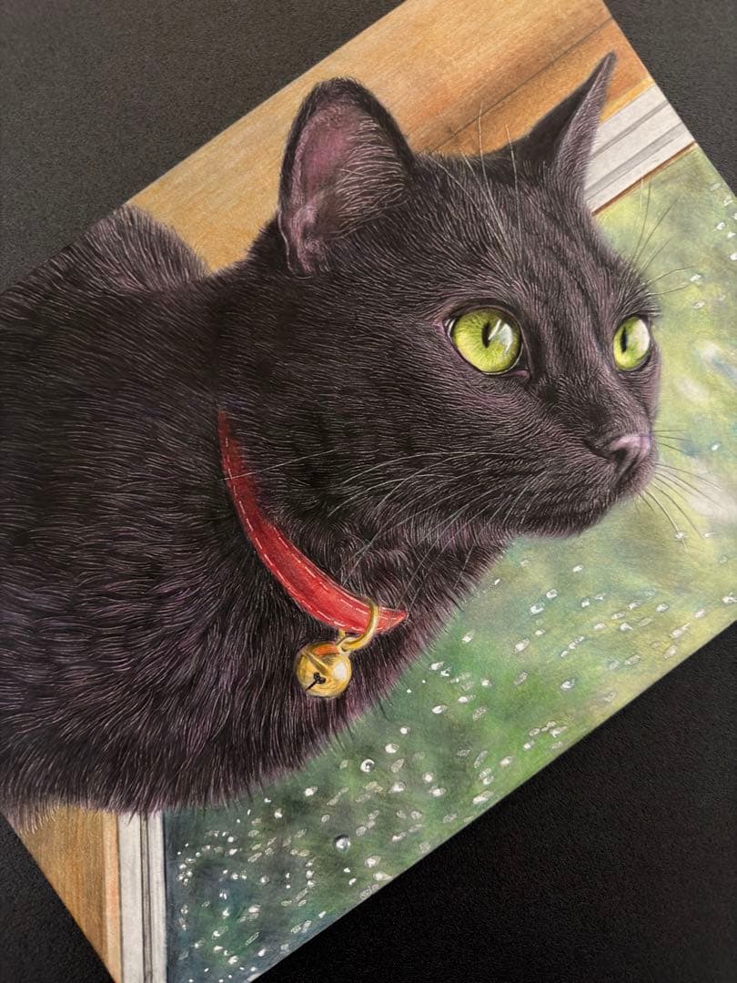 色鉛筆画.A4. 雨音を見つめる黒猫