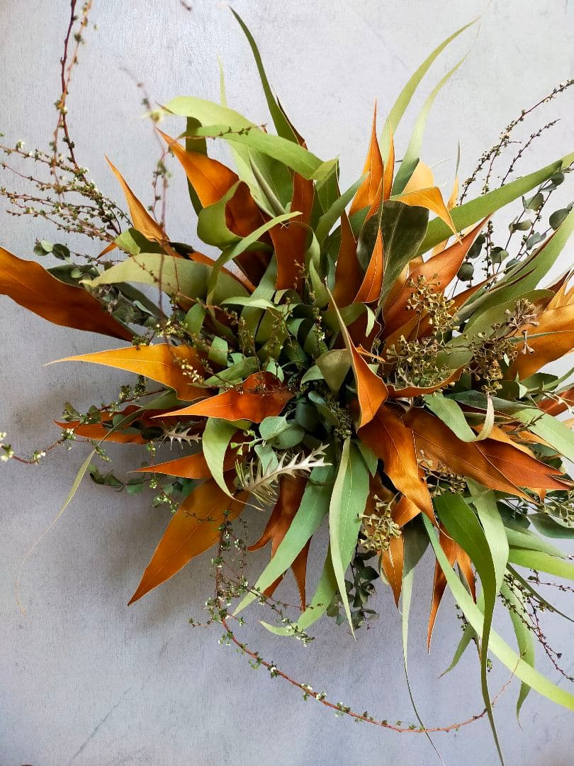 101.【人気♡✕大型✕横長スワッグ】ドライフラワー グレビリアゴールド