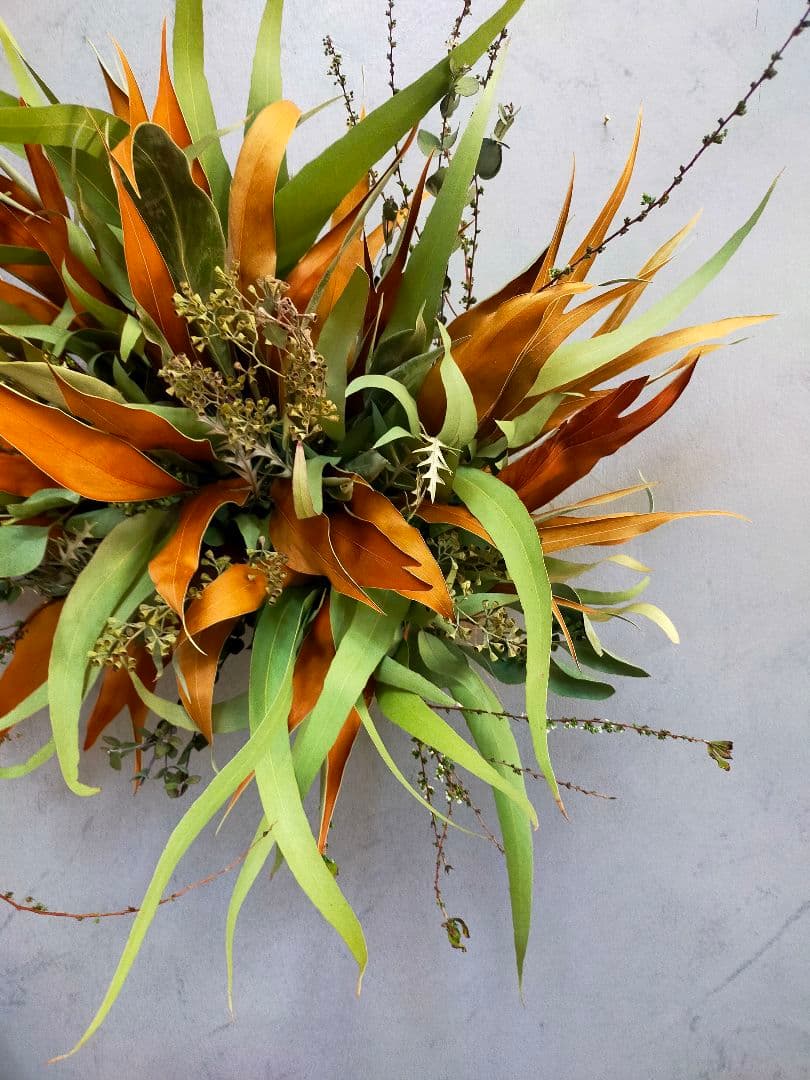 101.【人気♡✕大型✕横長スワッグ】ドライフラワー グレビリアゴールド