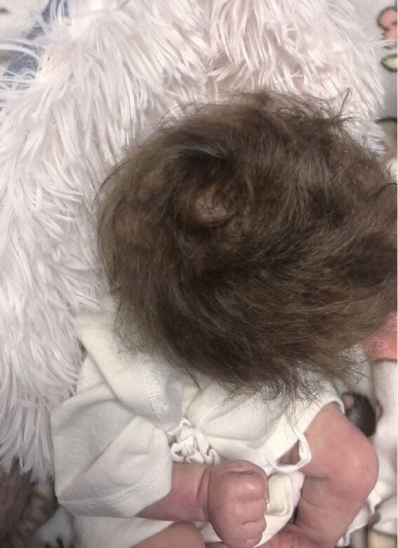 Chase By Bonnie Brown ♡ リボーンドール