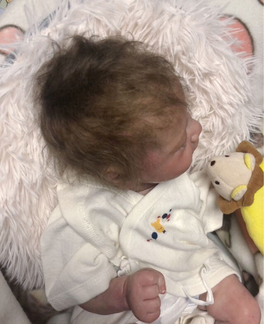 Chase By Bonnie Brown ♡ リボーンドール