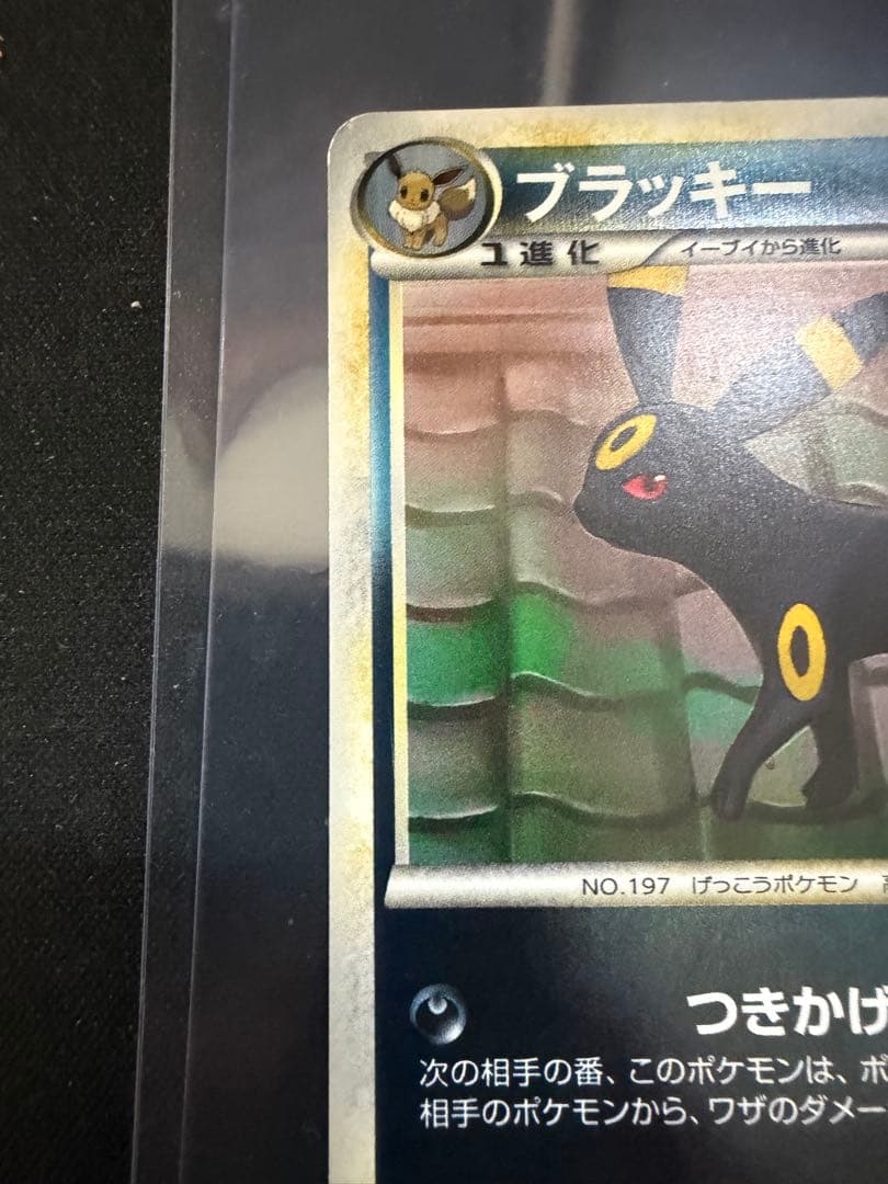 ブラッキー 037/080 レジェンド ミラー 1ED ポケモンカード