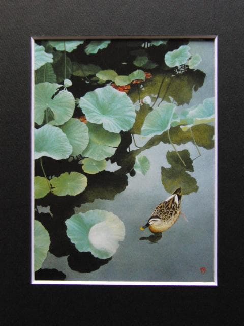 風分六抄、【蓮葉の中の小さな太陽】、希少な大判額装用画集より、美品、日本人画家