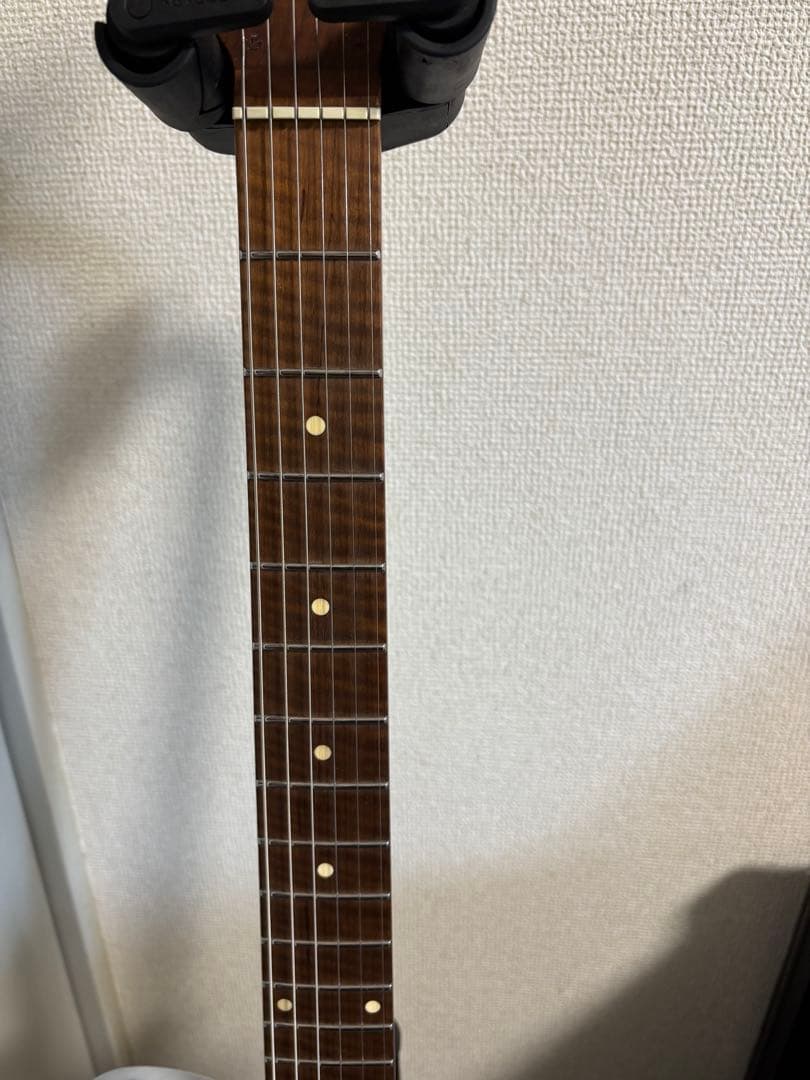 Bacchus Tactics24-Ash RSM テレキャスター