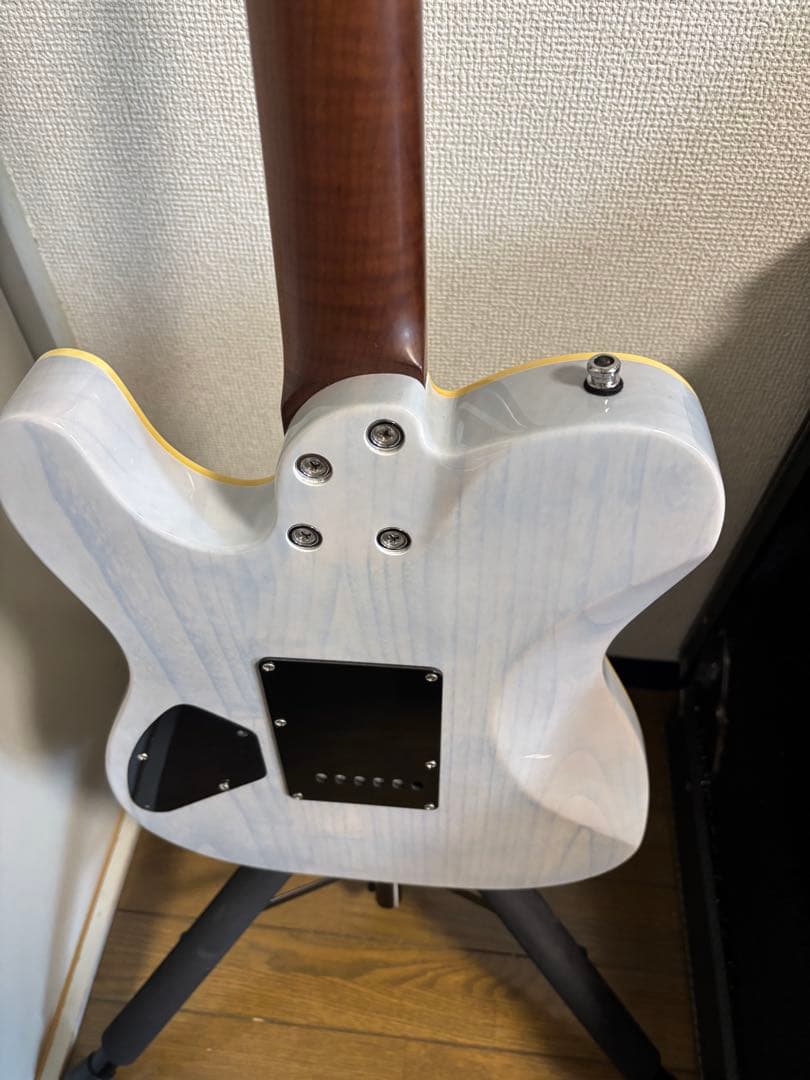 Bacchus Tactics24-Ash RSM テレキャスター