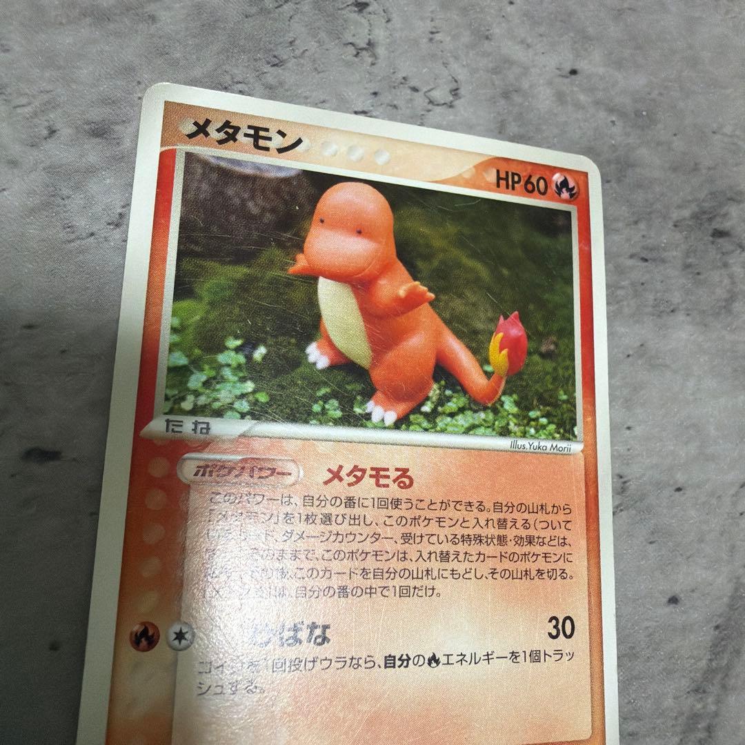 メタモン メタモる　ヒトカゲ