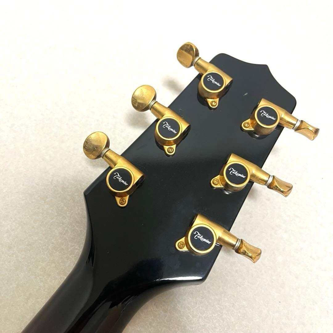 Takamine DSP110 エレアコ アコギ ハードケース付属 高峰