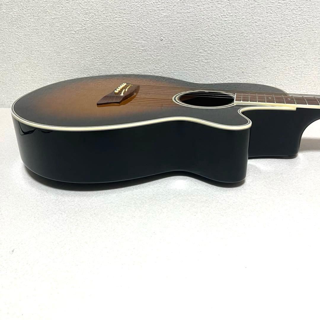 Takamine DSP110 エレアコ アコギ ハードケース付属 高峰