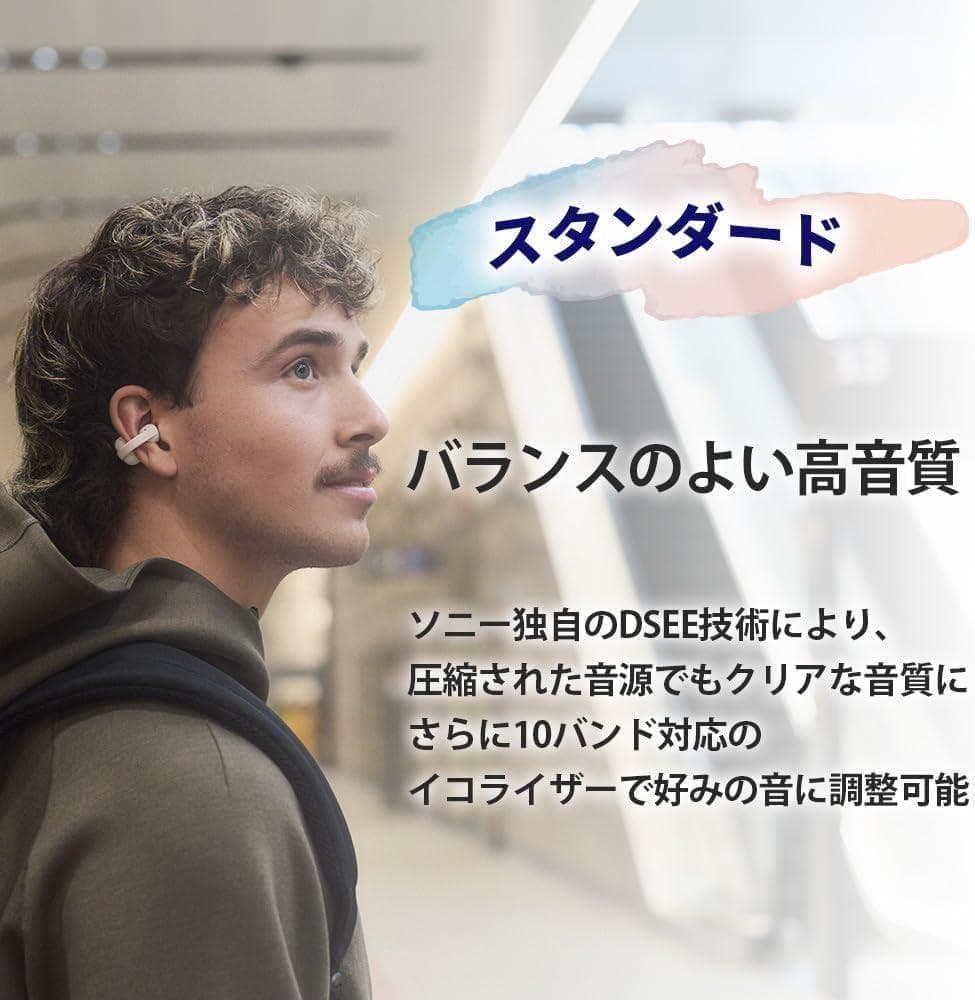 【新品】SONY ワイヤレスイヤホン WF-LC900 BZ ブラック