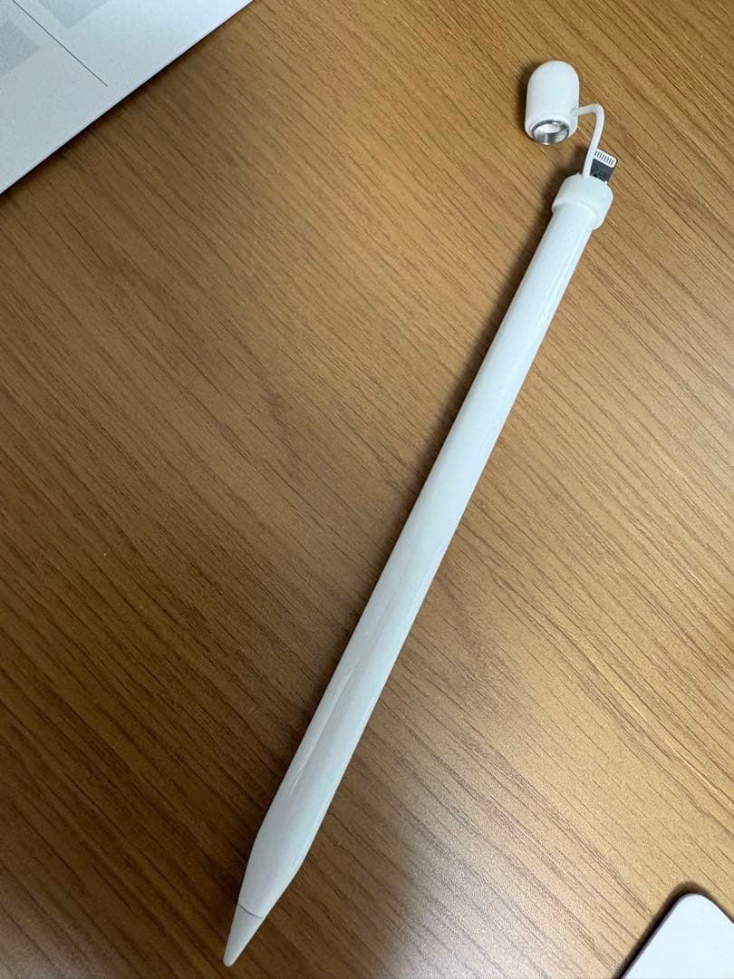 Apple Pencil（第1世代）+純正USB-Cアダプタ