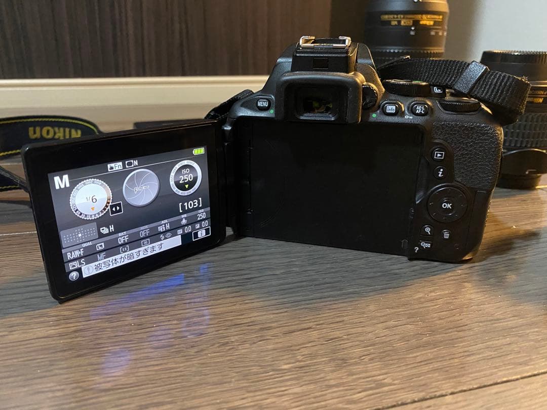 Nikon 一眼レフカメラ D5600 ダブルズームキット 単焦点レンズ付き
