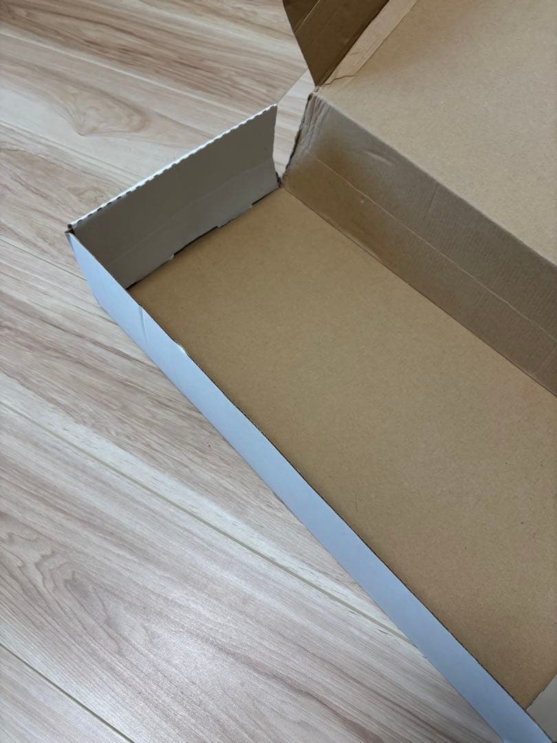 ANTIFONI リーディングランプ