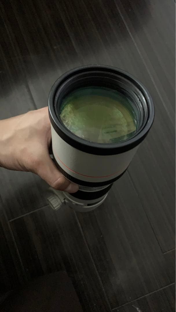 レンズ(単焦点) Canon 300mm f4