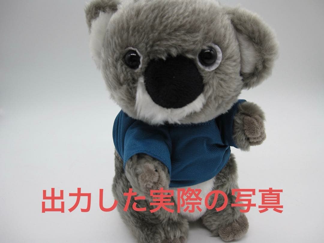 Canon IXY DIGITAL 920 IS PC1308 イクシー